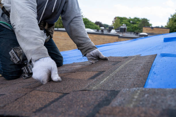 Quick and Trustworthy Emergency Roof Repair Services in Deephaven, MN