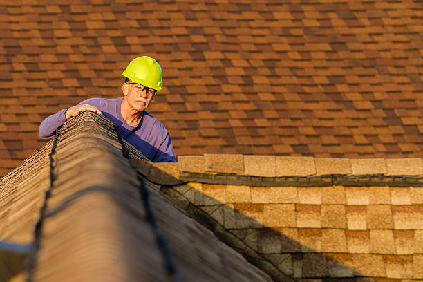 Quick and Trustworthy Emergency Roof Repair Services in Deephaven, MN